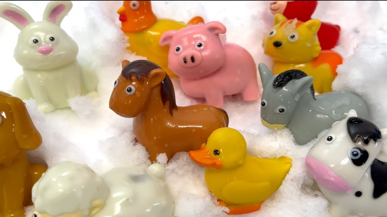 Farm Animal Toy Snowball Surprises YouTube