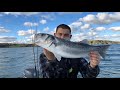 Lure fishing Bass and Pollack - Sea Fishing UK