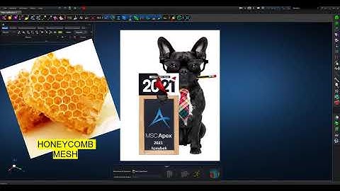 MSC Apex -HoneyComb Meshing