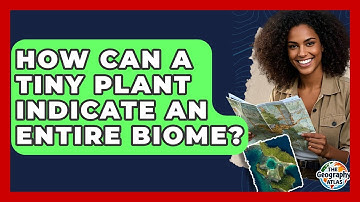 How Can A Tiny Plant Indicate An Entire Biome? - The Geography Atlas