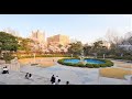 4k seoul cherry blossom walk  kyung hee university campus tour beautiful cherry blossoms