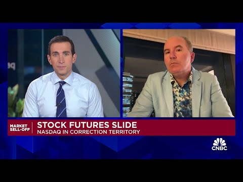 Don't believe this is the end of the tech bull market, says Wedbush's Dan Ives Episode cover