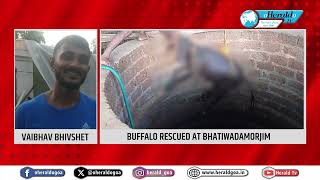 Local Heroes Save the Day: Buffalo Rescued at BhatiwadaMorjim