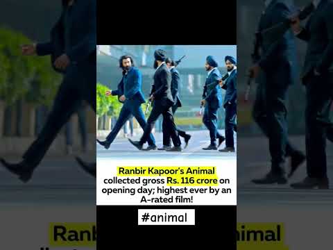 #animal #shorts #movie Animal block buster opening