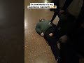 Empuje Tren superior Patrón de movimiento Golpe Push up Punch Puño Strike Striking