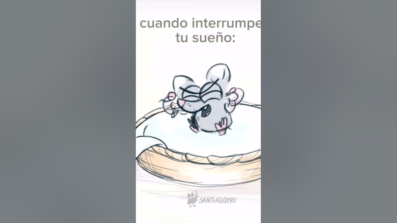 Yo todos los dias youtube