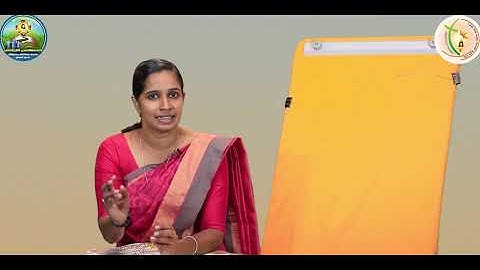 Sunday Catechism | Standard 3  | Chapter 6 | Part 2 |