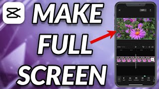 How To Make Full Screen On CapCut screenshot 2