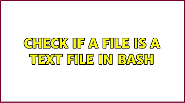 Check if a file is a text file in bash (2 Solutions!!)