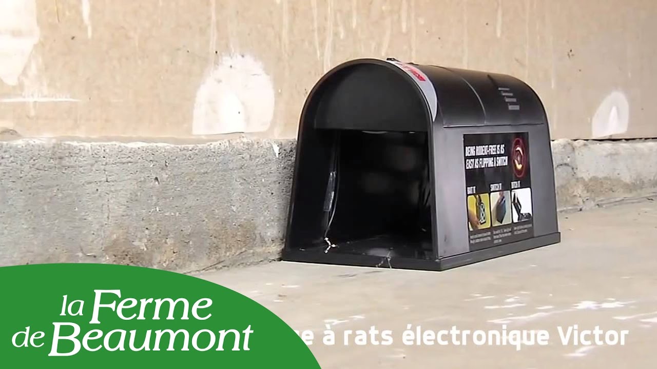 Piège à rat électrique VICTOR SBM dadolo shop