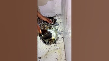 Công cụ dò tìm ống nước rò rỉ hiệu quả nhất hiện nay #sieuamnuoc #plumber #construction