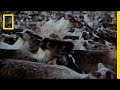 Musikalske Noter i Videoen