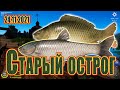 🎣Амуры и Карпы на Остроге 26.11.21 Русская рыбалка 4❗ РР4❗ Карп❗ Амур❗ Старый Острог❗俄羅斯漁夫 4 ❗ #70