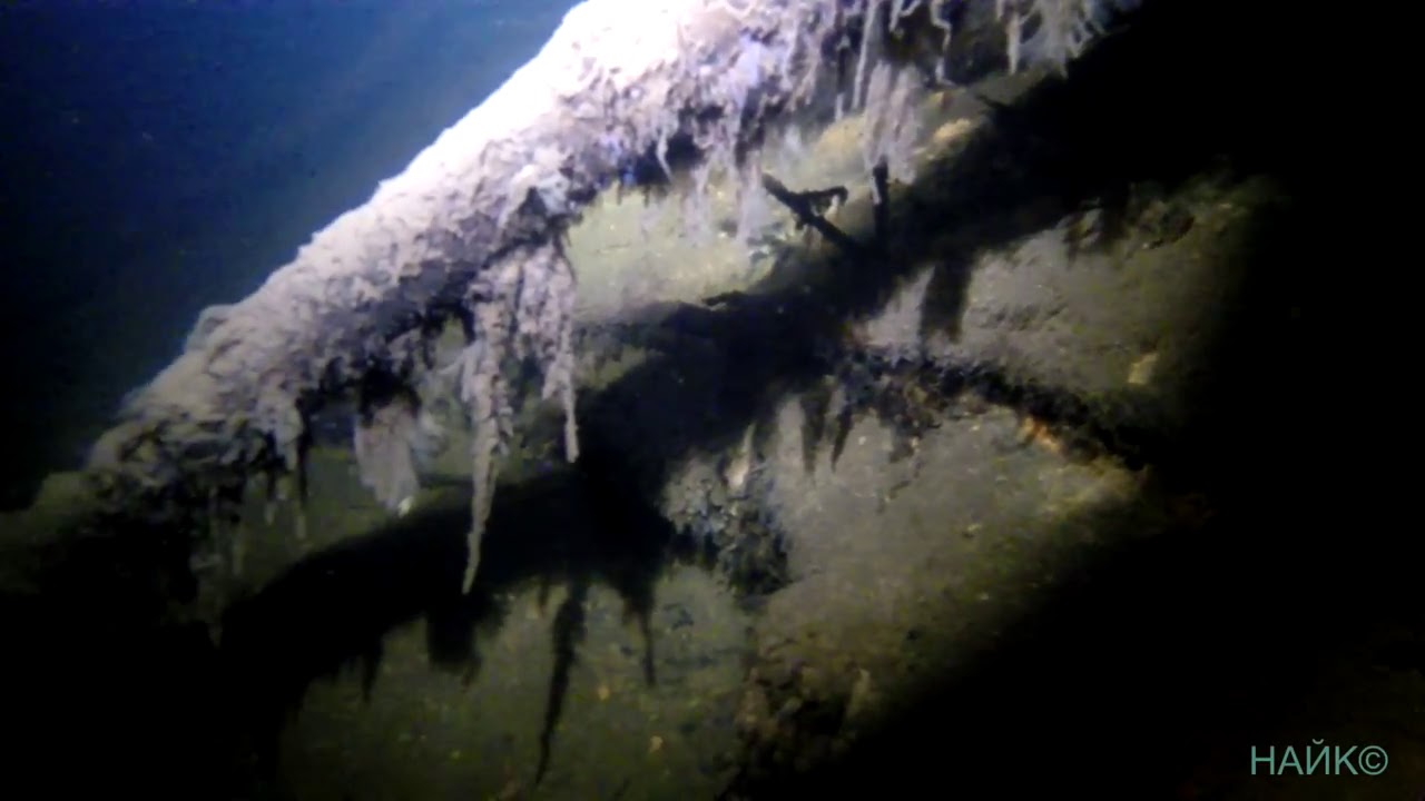 Подводное видео Go Pro . Underwater 3