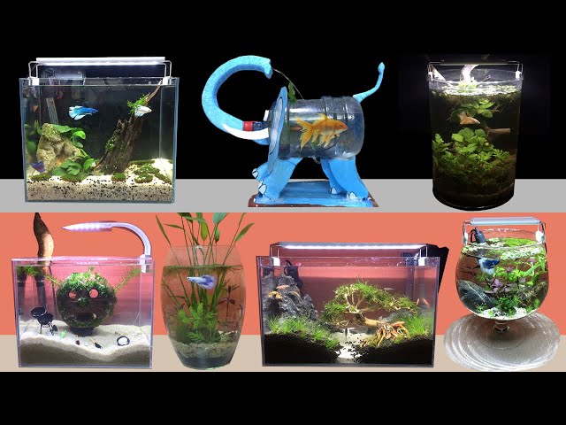 Top 22 Amazing Diy Aquarium Shrimp Betta Fish - How To Make Fish Tank At  Home Ideas decoration #89 