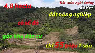 4,8 hecta đất nông nghiệp tại Cát Tiên Lâm Đồng giá cực rẻ chỉ 55 triệu 1 sào lh 0908817975