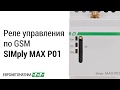 GSM-реле SIMply MAX P01