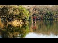 風は旅人 赤い鳥 伊豆 一碧湖 秋