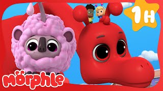 Pink Sheep Sleeep 🐑 | Fun Animal Cartoons | @MorphleTV  | Learning for Kids