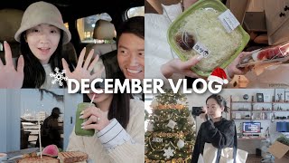 🎄DECEMBER VLOG | 超市买了什么开箱｜中午一个人吃什么｜跟我过周末｜和涤纶的Brunch Date❤️