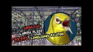 SIMULASI LOMBA PLECI TERAPI AMPUH MELATIH MENTAL