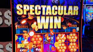 I HIT THE BONUS RIGHT AWAY ON HONEY BOMB!!!!!!