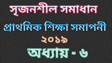 PEC math chapter 6|| Creative question solution