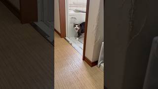 「オデコ〜」「きゃっ」