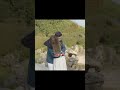 جيت ادور في رفوف الذكريات اسامة مروة شيرين بيوتي 