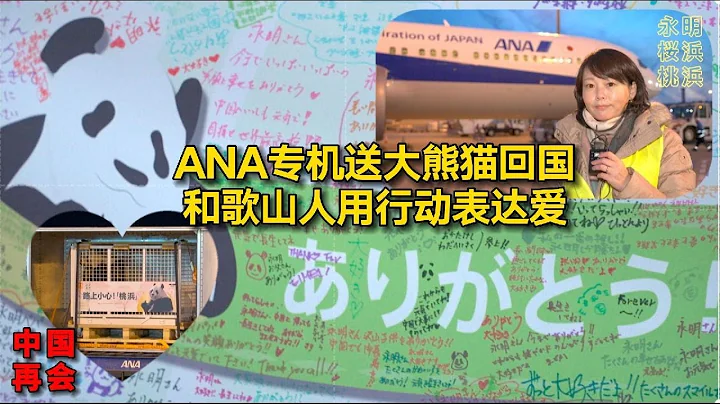 ANA专机送大熊猫回国 和歌山人用行动表达爱#宋看看#日本 - 天天要闻