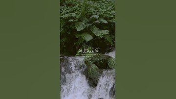 سورة المائدة - الآية 74 -القارئ عبد الرحمن مسعد #quran