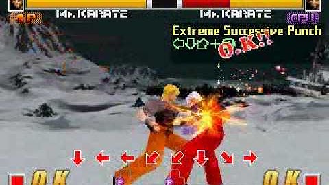 Fatal Fury: Wild Ambition-Practicing with Mr. Karate