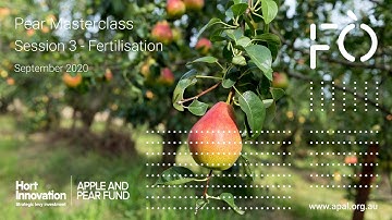 Pear Masterclass Session 3 – Fertilisation
