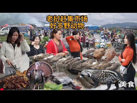 越南-老挝貿易市場，這裡有好多野動物。过口岸100米就到了。