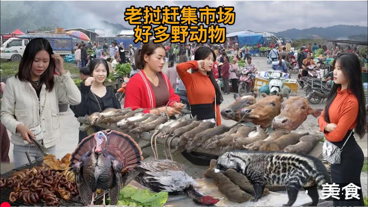 越南-老挝貿易市場，這裡有好多野動物。过口岸100米就到了。