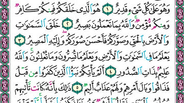 سورة التغابن (1-4)🫲🏻التلاوة والحفظ #الصف_الثامن @Sarah-2022