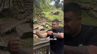 Download Lagu De hilarische reactie van de baviaan op zijn grap! 😂 MP3