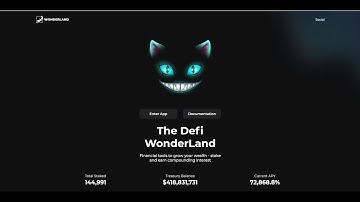 HOW MUCH MONEY I MADE STAKING WONDERLAND TIME IN ONE MONTH! (GOOD RESULTS!)