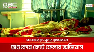 গজপর ভল চকৎসয অণডকষ কট ফলর অভযগ