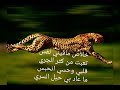 خلاص ما فيني نفس 