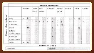 English Phonology and Phonetics Part 2: Consonants