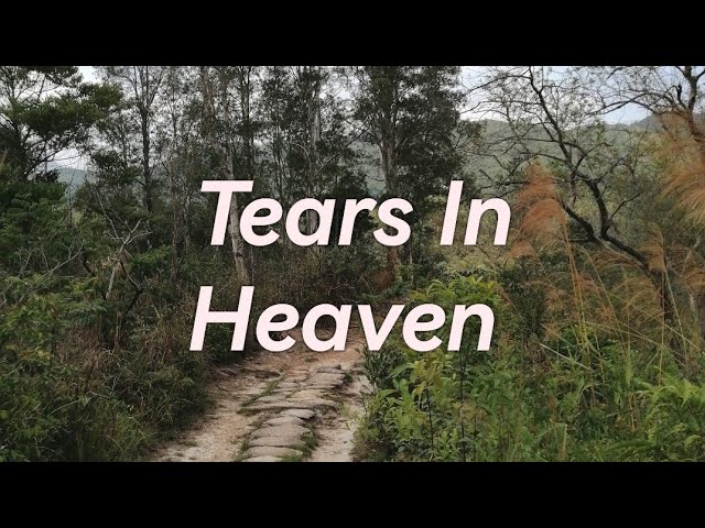 TEARS IN HEAVEN By Eric Clapton #ericclapton #tearsinheaven #lyricsvid