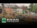 Opening date for Carey Bear Country at Philadelphia Zoo announced