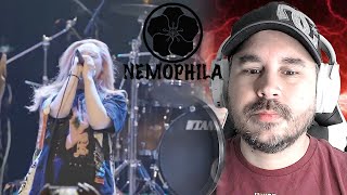 NEMOPHILA / REVIVE @HOUSE OF BLUES (REACTION)