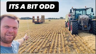  WEIRD BARLEY GROWTH & PLAN B ON CASH FLOW AnswerAsAPercent 2334