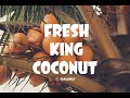 Fresh king coconut from sri lanka  galuku lanka exports pvt ltd