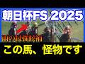 実は強いのに、全くバレずに激美味オッズになりそうな馬がいます🏇🔥【朝日杯FS＆ターコイズS2025】