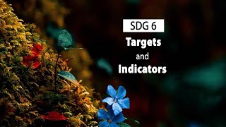 SDG 6 Targets and Indicators