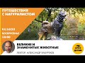 Детский эфир &quot;Великие и знаменитые животные&quot; // Путешествия с натуралистом // Александр Хабургаев