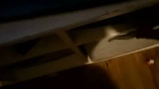 Smurfs 2025 Dvd Opening